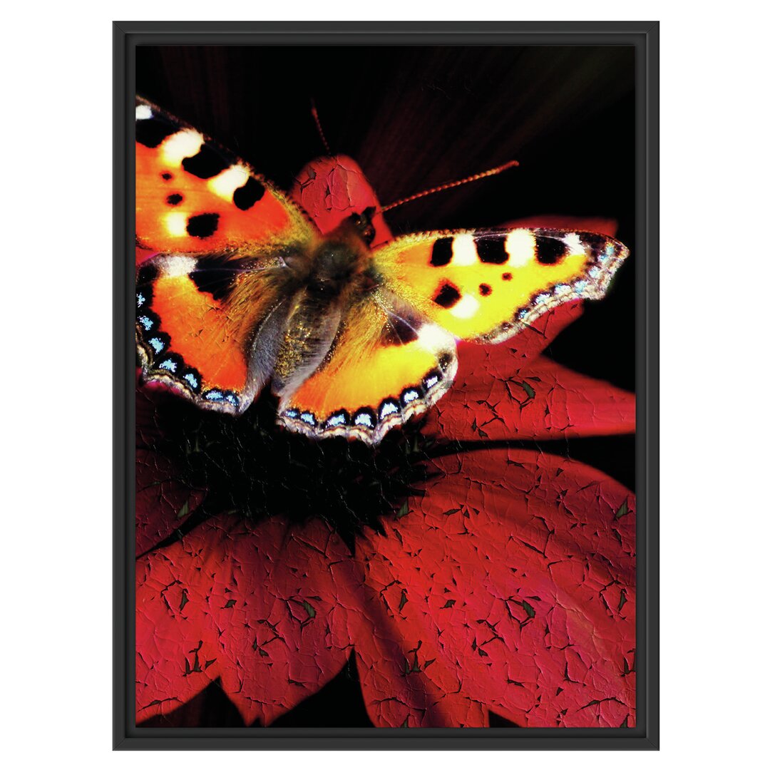 Gerahmtes Wandbild Schmetterling auf roter Blüte