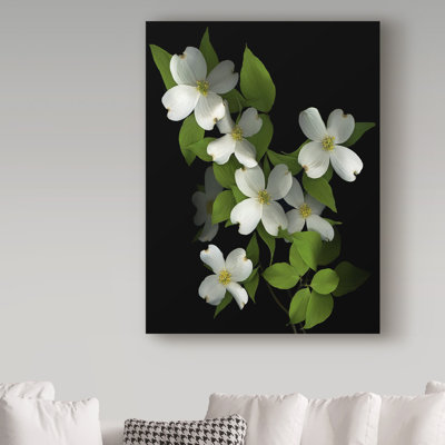 «Dogwood» par Dosta, impression sur toile tendue