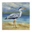 «Heron by the Sea», art mural sur toile par Lanie Loreth-1038333738