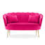 Carney Velvet Loveseat Accent Sofa-789530058