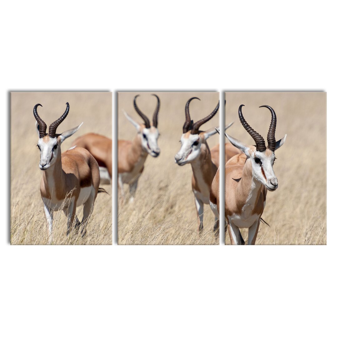 3-tlg. Leinwandbilder-Set Antelopes in the Savannah