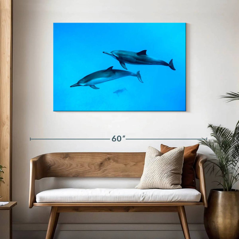 Dauphins Brampt Maui, H 30 po x l 45 po