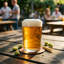650ml Craft Beer Glass Set