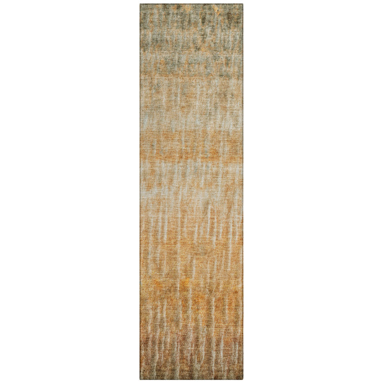 Machine Washable Indoor/Outdoor Matteson ACN2317 Casual Rug