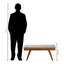 Banc de salle à manger rembourré en bois gris clair Ismail H 17,57 po x l 41,18 po x P 15,14 po Ismail