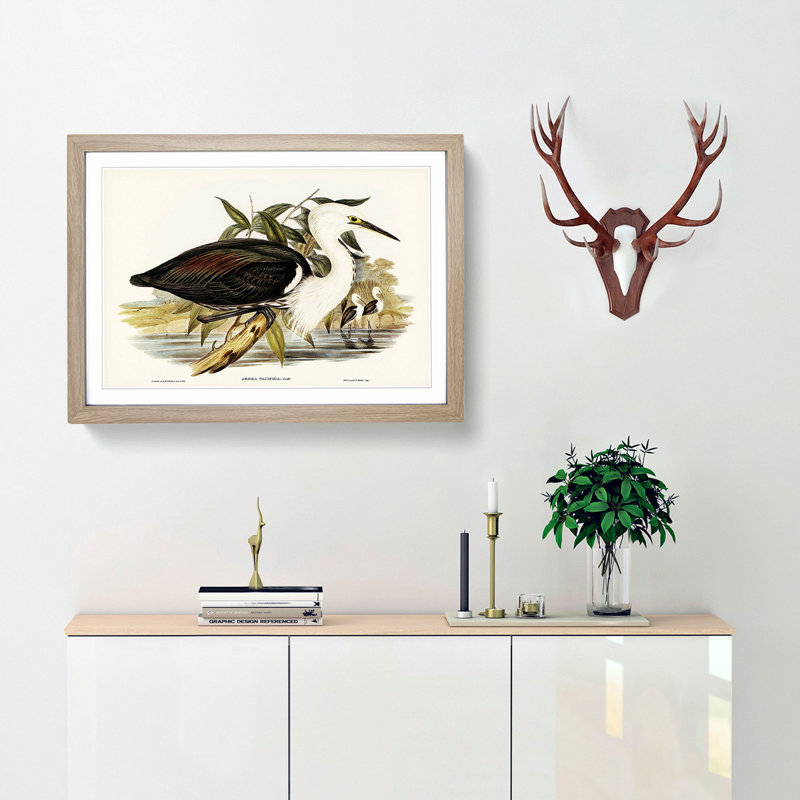 Pacific Herons by Elizabeth Gould - Picture Frame Painting Print, 36cm H x 48cm W x 2cm D, Oak Framed