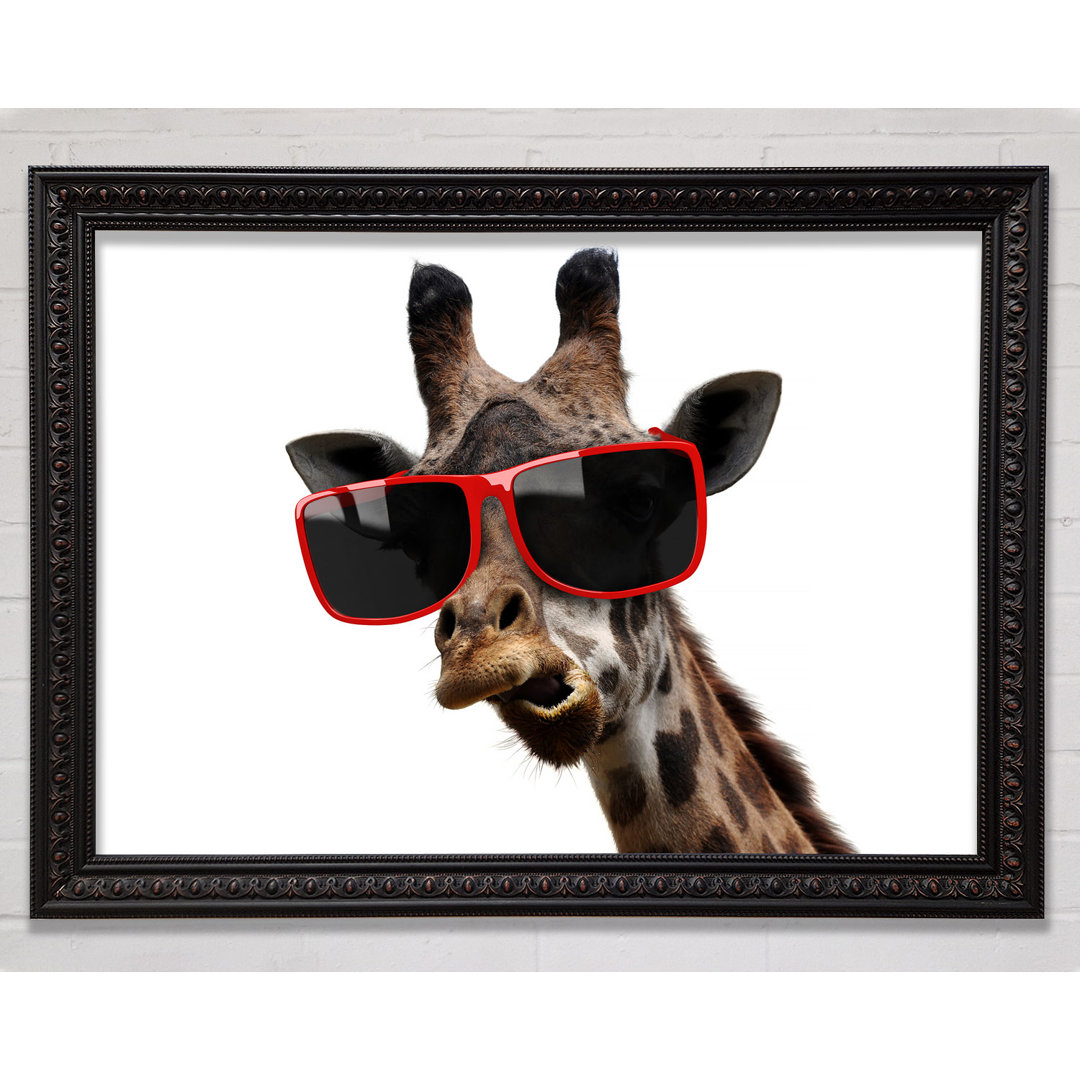 Funky Faced Giraffe - Einzelner Bilderrahmen Kunstdrucke