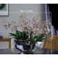 Décoration florale simulée
