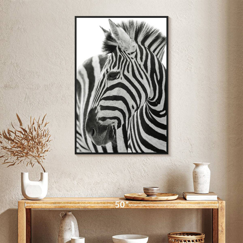Zèbre Kruger, Cadre flottant noir, 25 po x 37 po