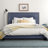 Charlie Upholstered Standard Bed-1257105824-1257105826-1257105776