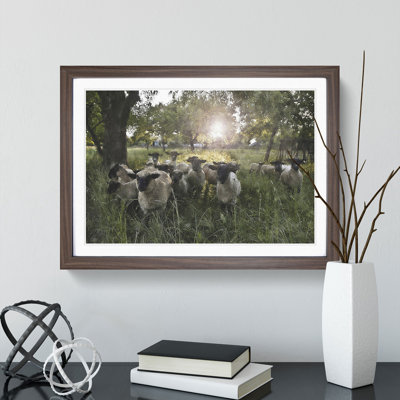 Flock of Sheep Vol.3 - Framed Print