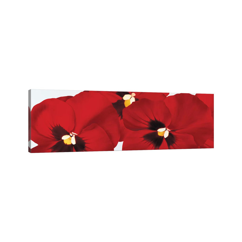 Red I (Pansies) 1 Piece Wrapped Canvas Panoramic Wall Art, 152.4 cm H x 50.8 cm W x 1.91 cm D