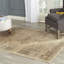 Beauchamp Oriental Area Rug-423543319
