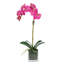 Orchid Arrangement In Square Glass Vase-460345641