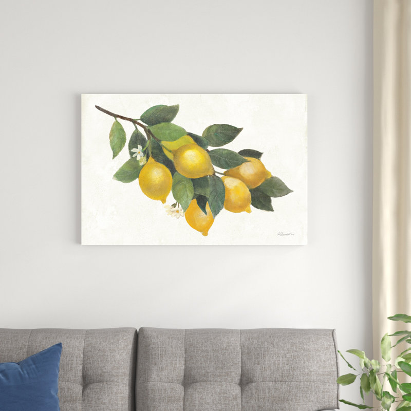 Citron I, H 24 po x l 36 po