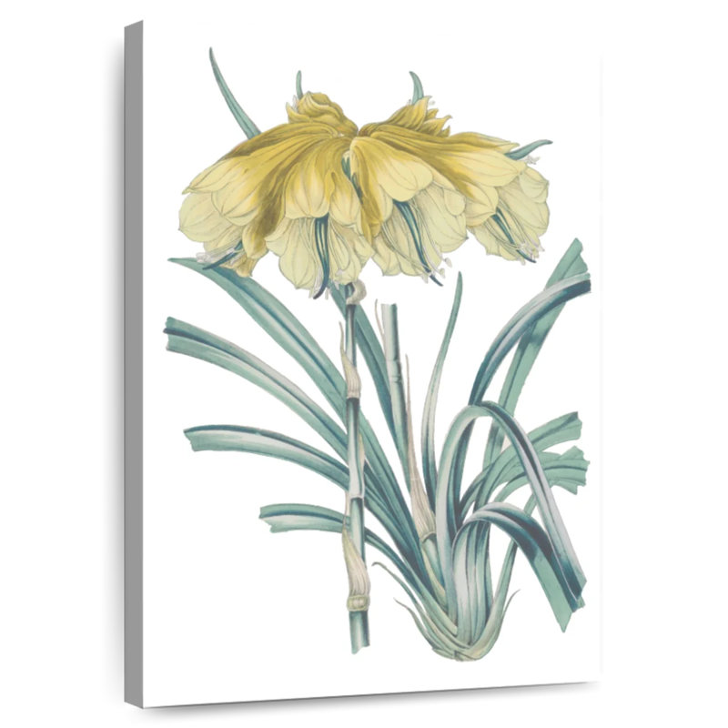 Harnek Antique Botanical III Cool, H 51 po x l 34 po