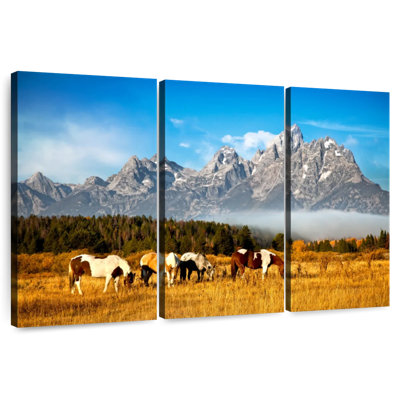 Jackson Hole Valley Grazing Horses