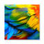 Rainbow Feathers One Print-522034188-522034178
