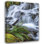 Art sur toile Jaynes Gallery: Washington State, fougère de l'épée de la forêt nationale olympique et ruisseau en cascade