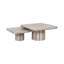 Denizly Nesting Coffee Table