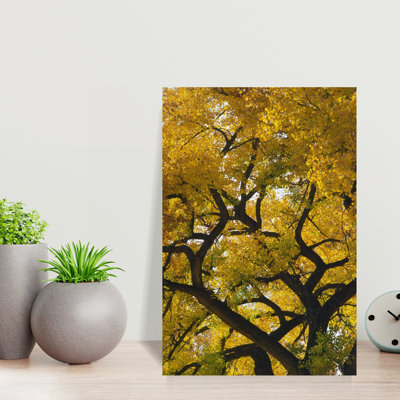 Branches incurvées de peuplier couleur d'automne, gros plan, Nouveau-Mexique, États-Unis Art mural coloré d'automne contemporain coloré et tranquille
