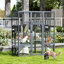 Cat Cage-513349779