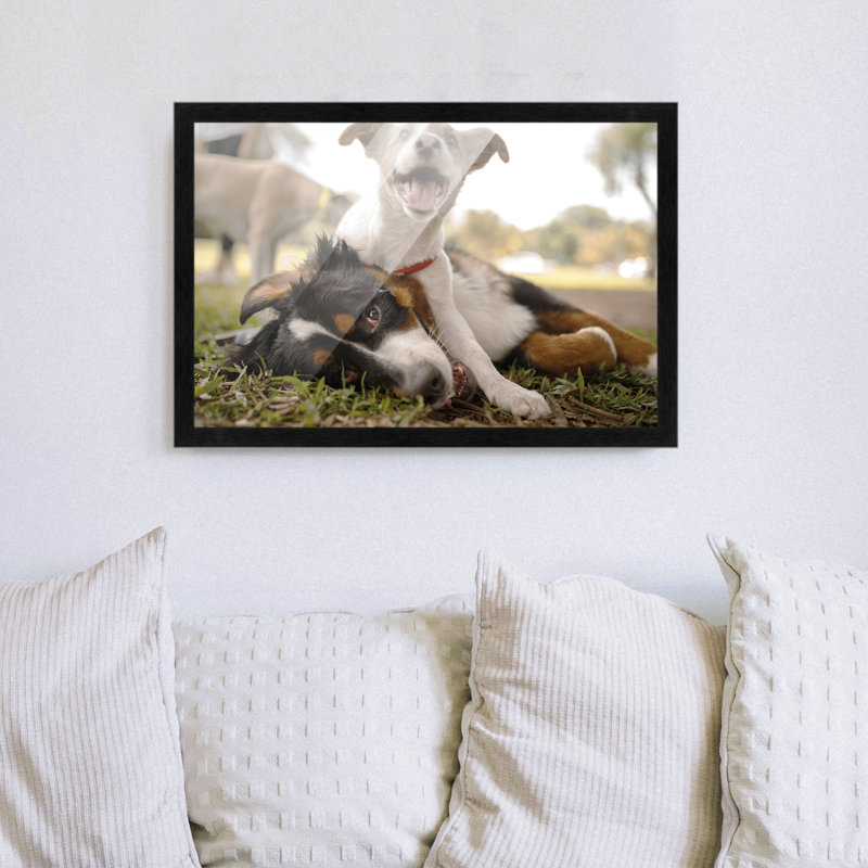 Cadre photo en bois massif Plassie, Noir, L 10 po x H 20 po