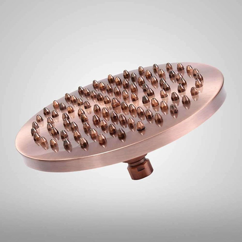 Pomme de douche BathSelect