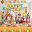 Capybara Party Supplies, Capybara Decorations & Tableware Sets