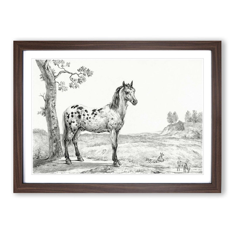 Mottled Horse by Jean Bernard - Picture Frame Drawing Print, 27cm H x 36cm W x 2cm D, Walnut Framed