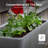 Koenraad Planter Box-1798229659-1798229658