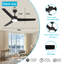 Ventilateur de plafond noir 52 pouces avec lumière, ventilateur de plafond avec 3 pales réversibles, 2 tiges verticales, télécommande à 6 vitesses