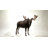 Standing Moose Statue