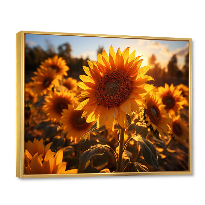 Tournesols orange et tournesols éclairés II, H 30 po x l 40 po x P 1,5 po, Cadre flottant doré