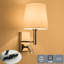 Pierron Iron LED Swing Arm Sconce