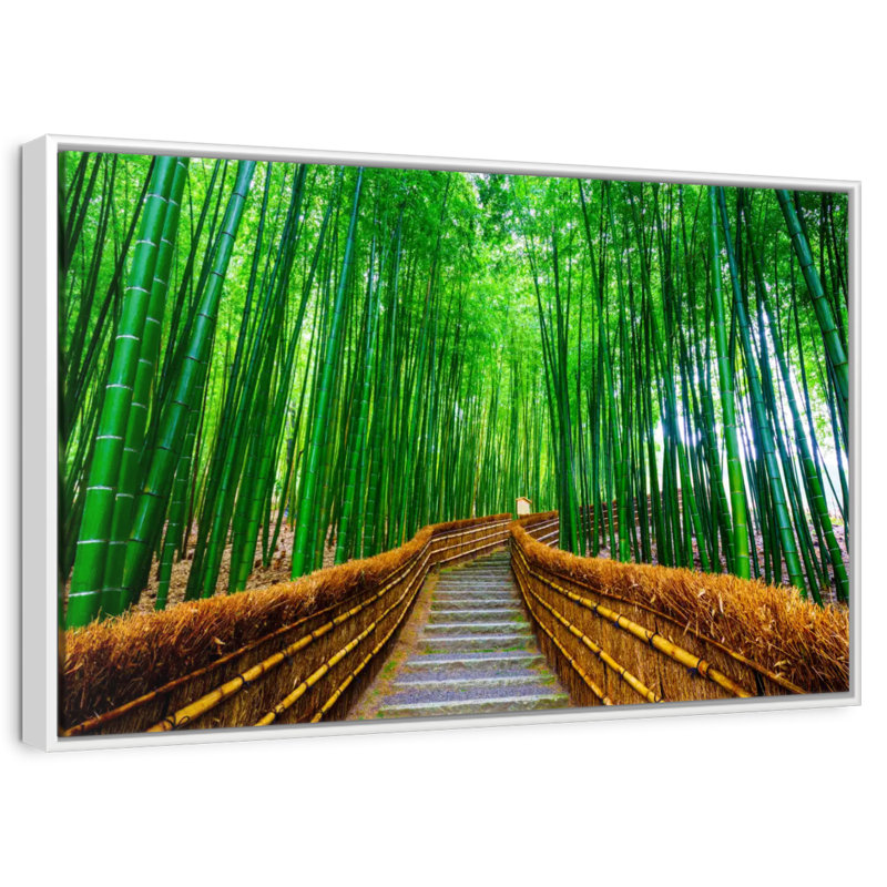Bambou Arashiyama, Cadre flottant blanc, 40 po x 27 po