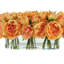 Peonies Arranged in a Glass Vase-1218887325