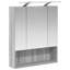 W H Wall Mounted Required Medicine Cabinet Mirror 2-1072544246-1072544241