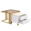 Adamarys Coffee Table with Storage