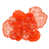 Corail