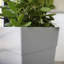 Pot à fleurs effilé carré moderne intérieur / extérieur en plastique recyclé 25 po Modern-1448561045