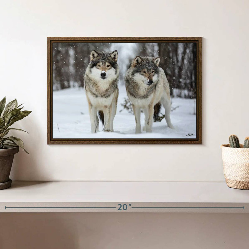 Loups dans le parc naturel de Langedrag, 13 po x 9 po, Cadre flottant noyer