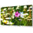 Flowers Field - 3 Piece Wrapped Canvas Print-182495626
