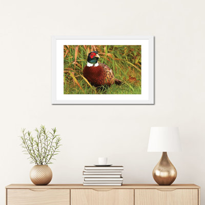 «Gaudy Rooster» par Brian Wolf - reproduction de photo