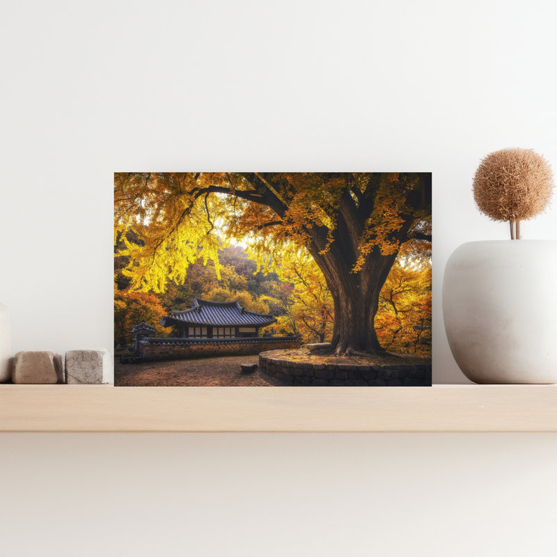 Print, 30.48cm H x 45.72cm W