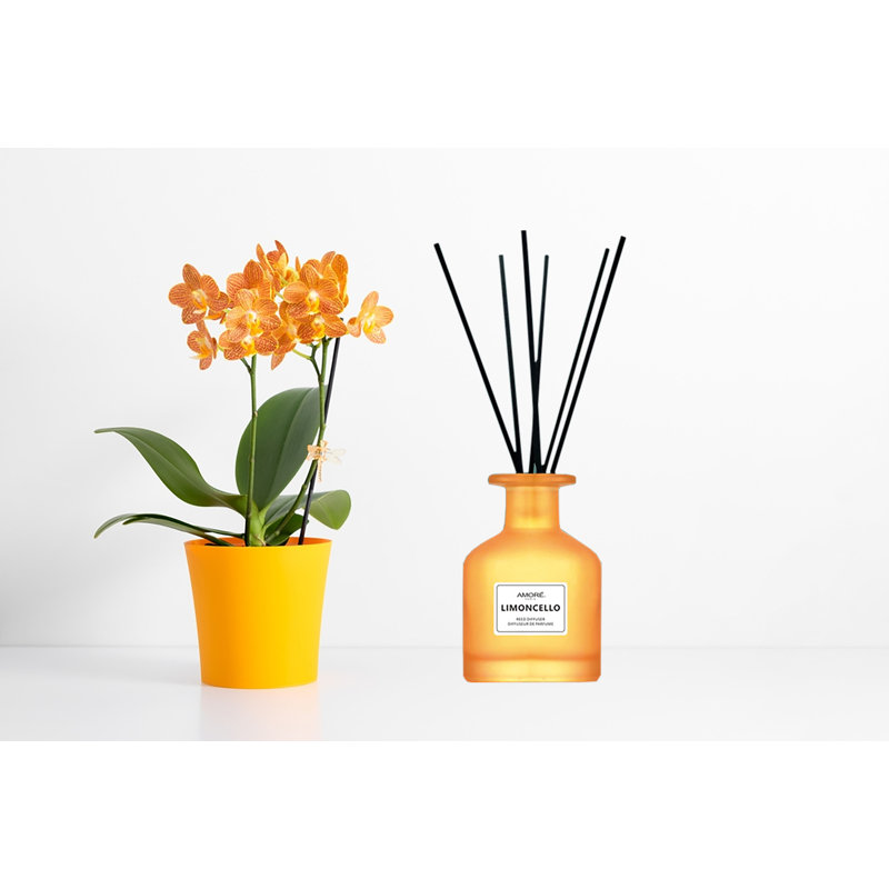 Diffuseurs et bâtons de roseaux, Orange
