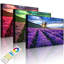 Fantastic Lavender Provence with Lonely Tree - Wrapped Canvas Photograph Print-49671775-49671776