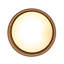 1 - Light Flush Mount