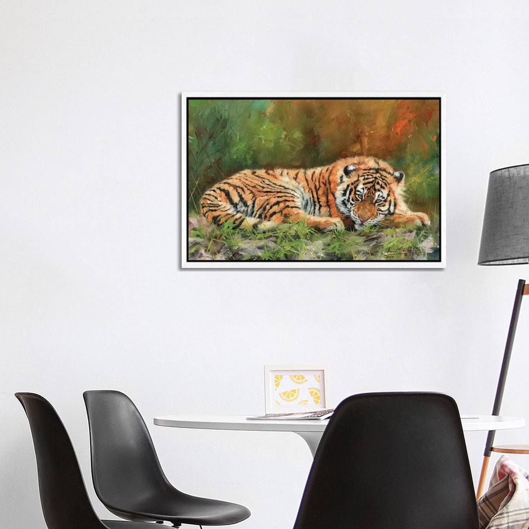 Amur Tiger Repose von David Stribbling - Gallery-Wrapped Canvas Giclée on Canvas