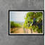 Grapes in The Vineyard Framed Photographic Print